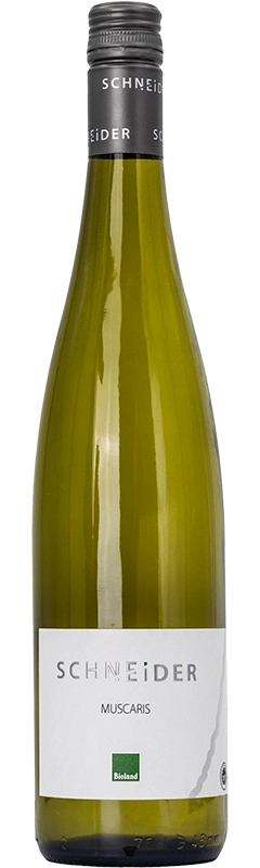 Muscaris edelsüß